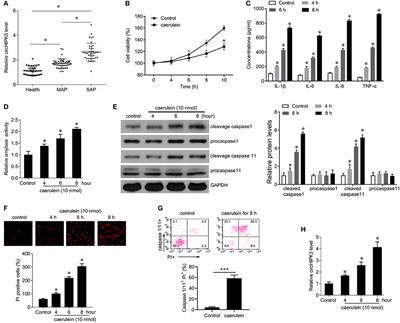 CircHIPK3 Promotes Pyroptosis in Acinar Cells Through Regulation of the miR-193a-5p/GSDMD Axis